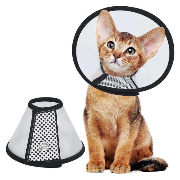 1 Inch Lightweight and Adjustable Plastic Elizabethan Collar for Cats and Mini Dogs