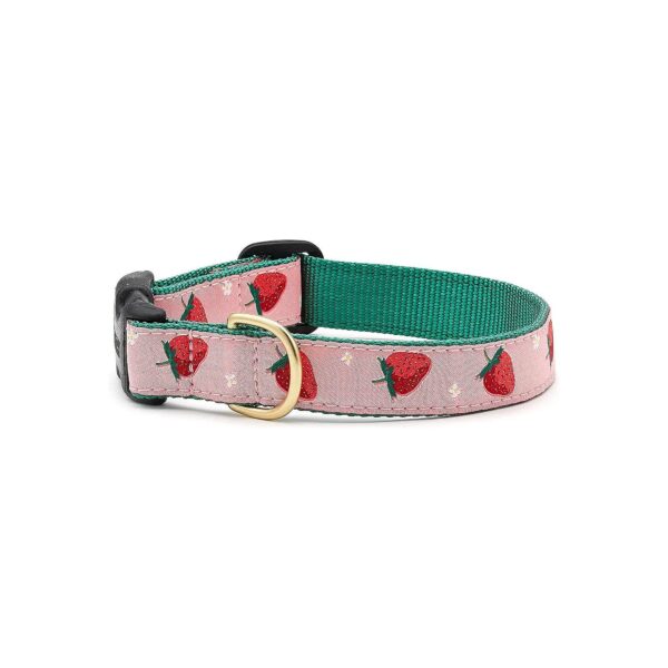 1 Inch Wide Dog Collar in Medium Length with Brass Snaps