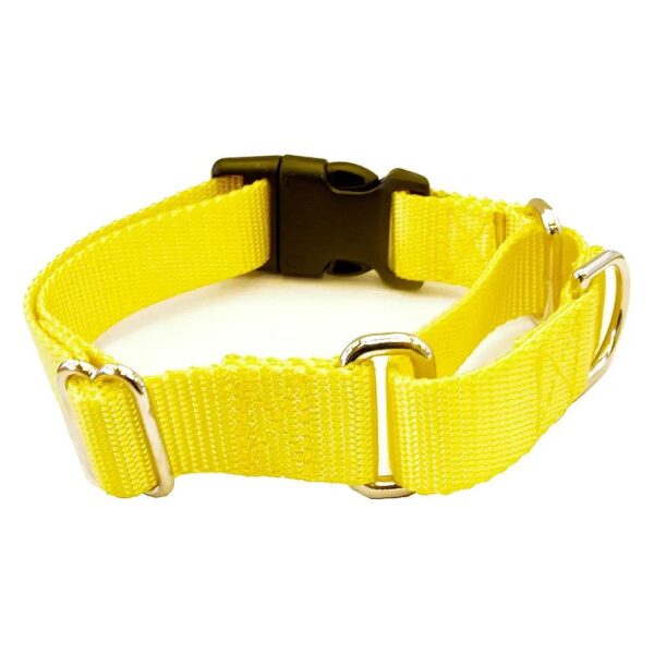 1 Inch Wide Heavy Duty Nylon Martingale Collar with Buckle for Small Dogs