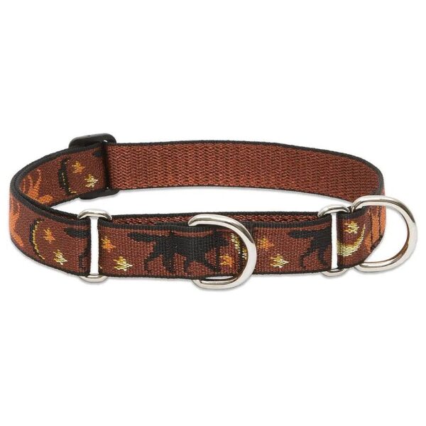 1 Inch Wide Martingale Collar for Medium to Large Dogs