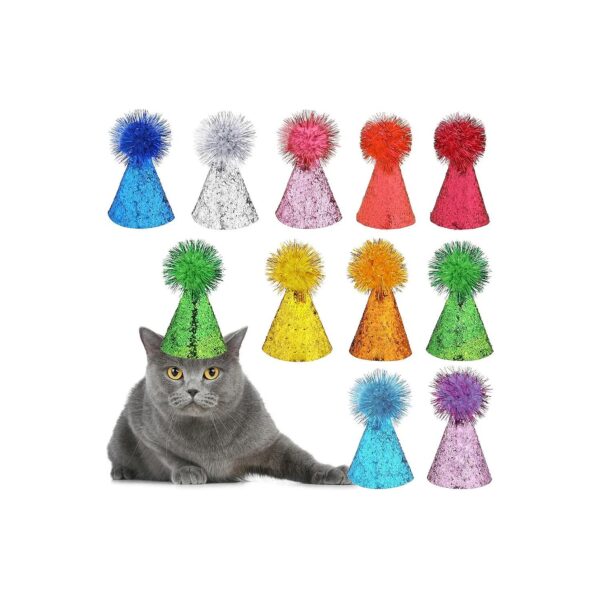 10 Pack Cat and Dog Party Hats with Pink Purple Blue Red and More Colors