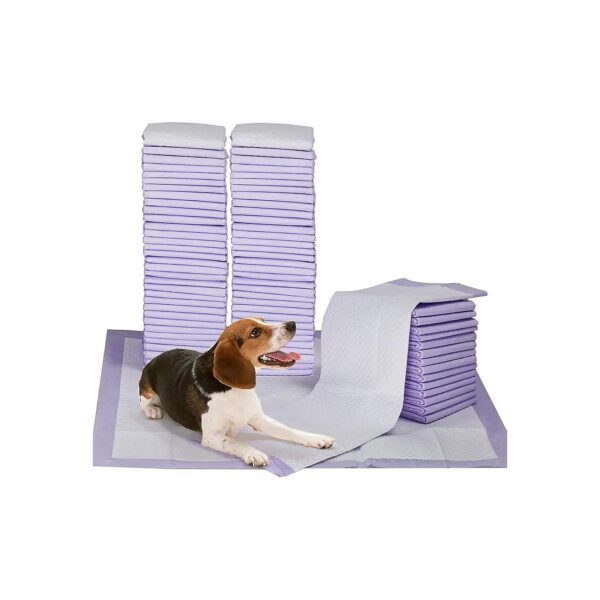 100 Pack Super Absorbent Dog Pee Pads 23x24 Inches with Attractant