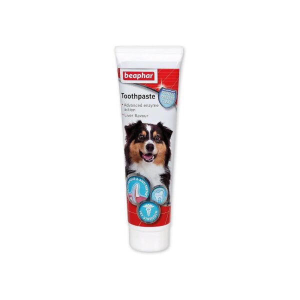 100g Toothpaste for Adult Dogs and Cats with Liver Taste