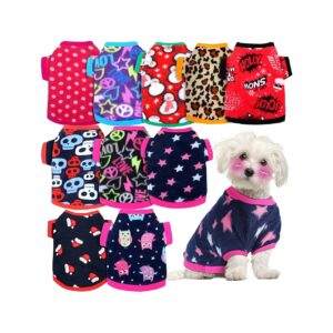 10-Piece Dog Sweater Collection for Small Pets Winter Fall Chihuahua Poodle