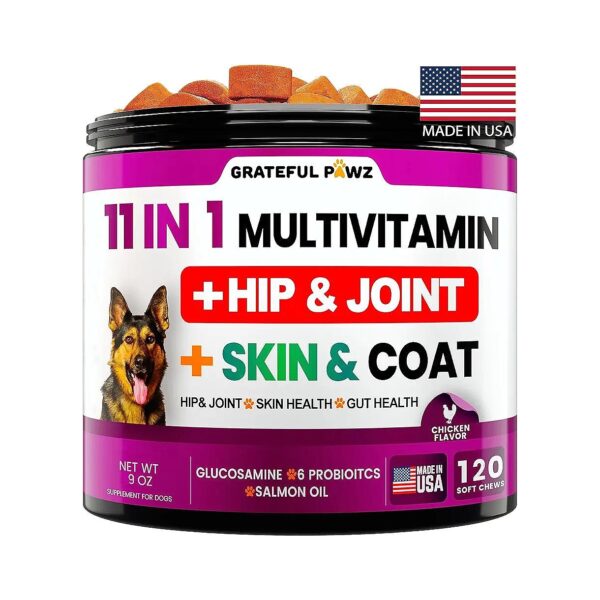 11-in-1 Dog Multivitamin with Probiotics and Omega-3 for Skin, Heart, and Gut Health