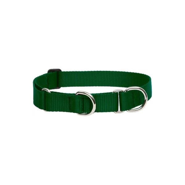 15 22 Range Green Martingale Collar for Medium and Larger Dogs