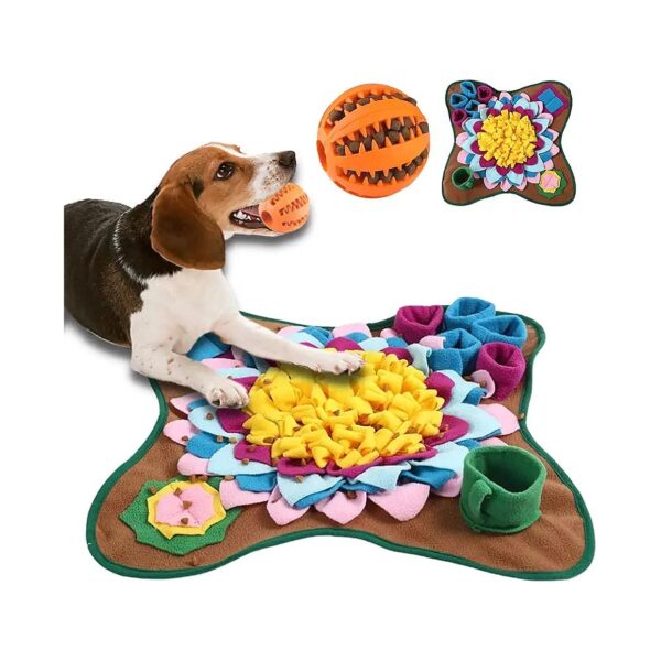 19x19 Inches Snuffle Mat for Indoor and Outdoor Dog Training with Durable Mat