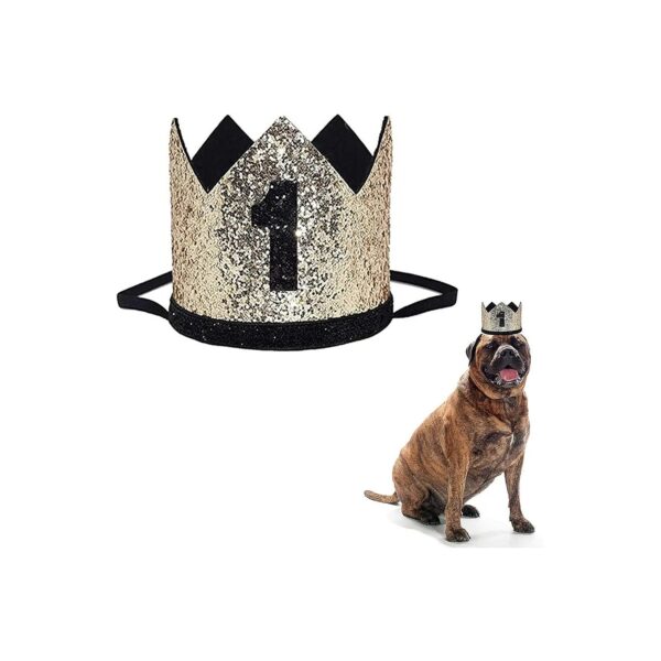 1st Birthday Party Hat for Small Breed Dogs, Cats, and Rabbits