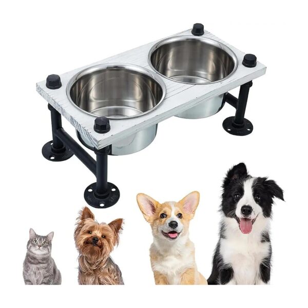 2 Inch Tall Dog Feeder with 2 Stainless Steel Bowls for Medium Sized Dogs