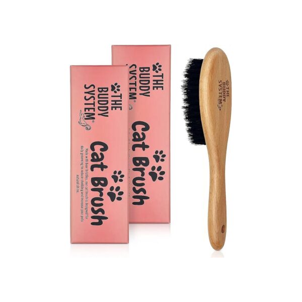 2 Pack Cat Brush with Boar Bristle and Wooden Handle