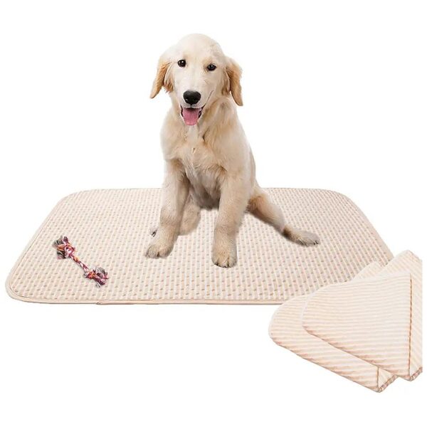 2 Pack Pet Pee Pads for Pet Owners with Additional Dog Rope Toys Bonus