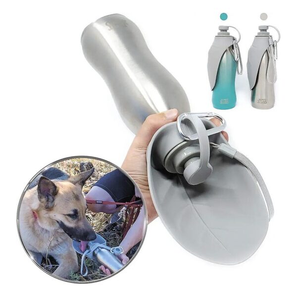 20 OZ Stainless Steel Leak Proof Dog Water Bottle for Outdoor Walking Hiking Travel Fun