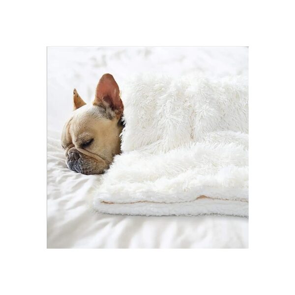 20x30 Inch Reversible Polyester Dog Blanket for Couch Bed Crate