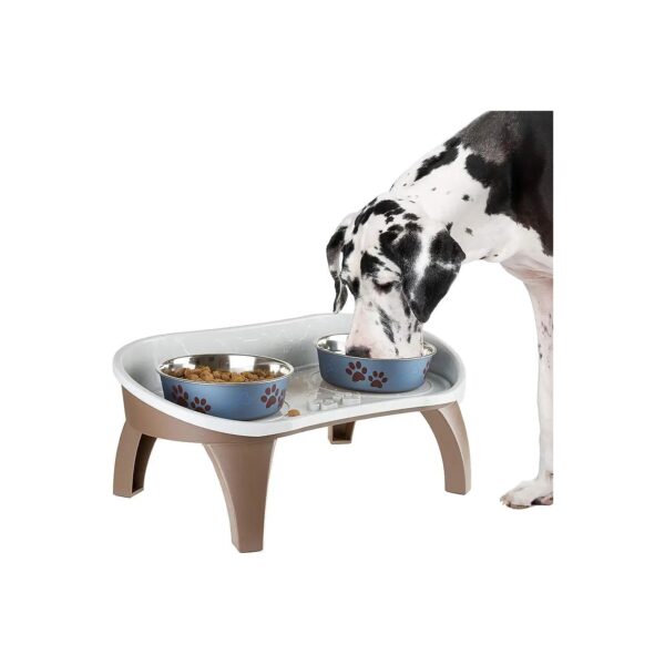 2-Bowl Feeding Stand for Large Dogs and Cats with Non-Skid Feet