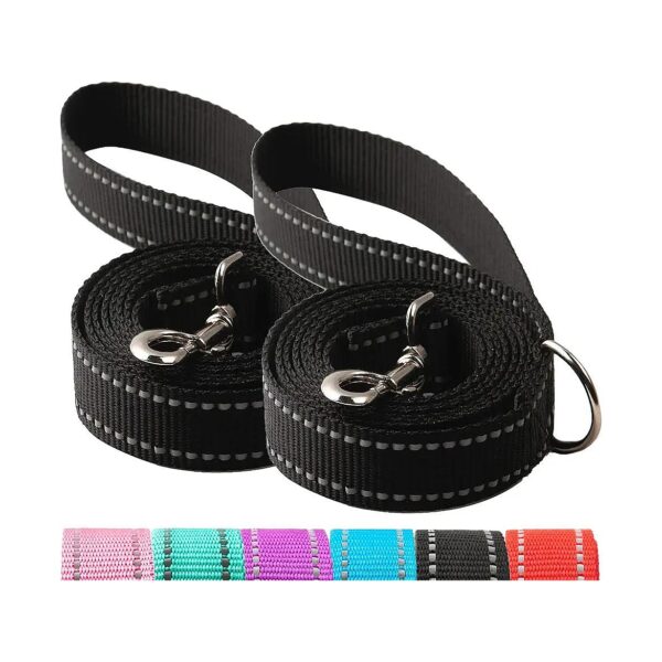 2-Pack Reflective Nylon Dog Leash for Small Medium Large Dogs with D Ring