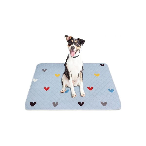 2-Piece Fast Absorbent Washable Dog Pee Pads for Reliable Potty Training