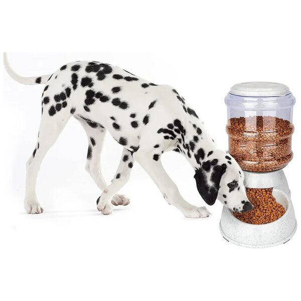 3 Gallon Capacity Pet Food Feeder for Large Families