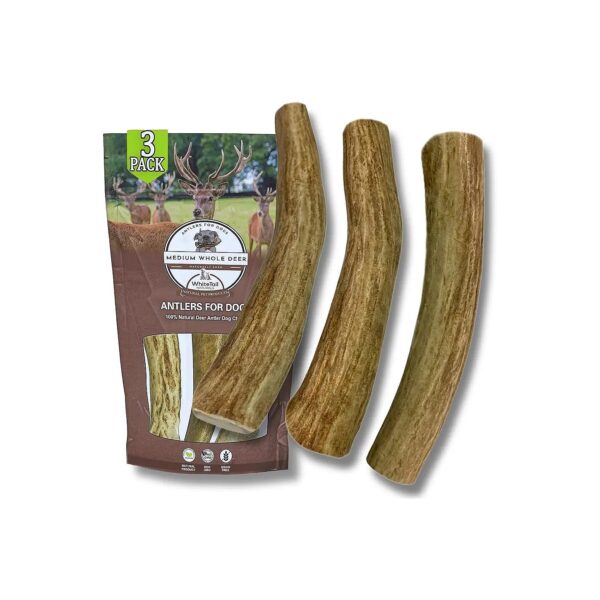 3 Pack Medium Deer Antler Dog Chews - Perfect for Teething Puppies and Medium-Sized Dogs