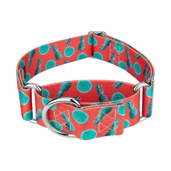 3 Yummy Fruit Designs on This Large Size Tropical Tango Martingale Dog Collar