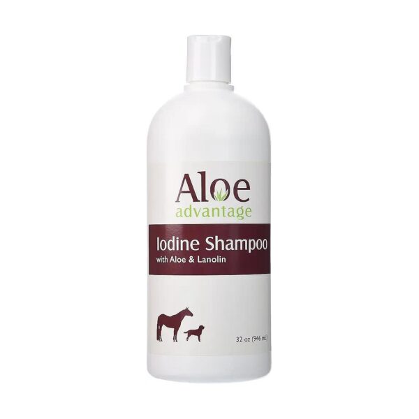 32-Ounce Aloe Iodine Shampoo for Human Skincare and Coat Moisturizing