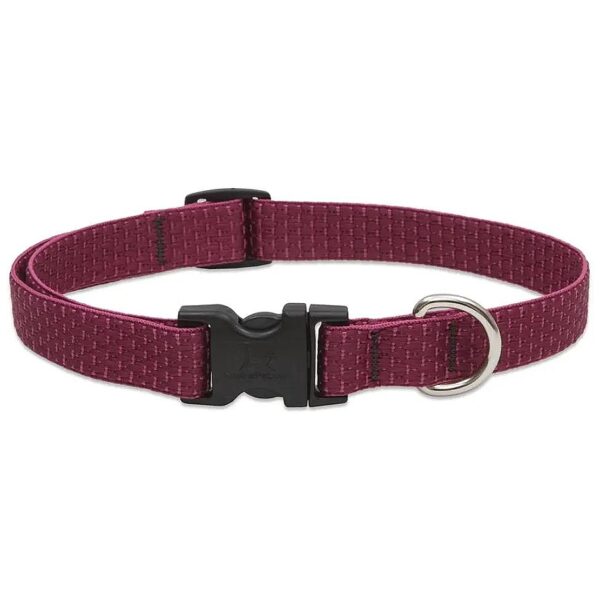 3/4'' Adjustable Collar for Small Dogs with Durable Plastic Material