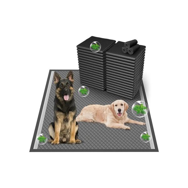 36'' x36'' Jumbo Charcoal Puppy Pads with Adhesive Tape and Absorbent Material