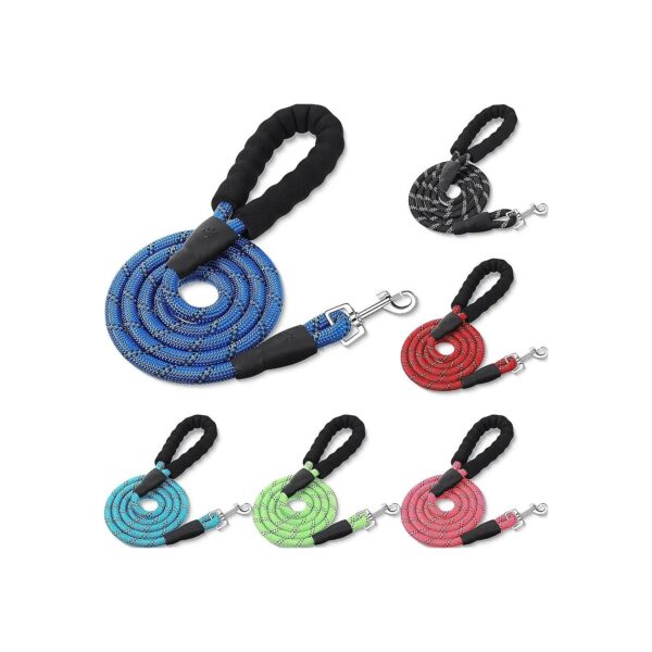 3/8 Inch Wide Reflective Nylon Dog Leashes for Pet Walking and Training