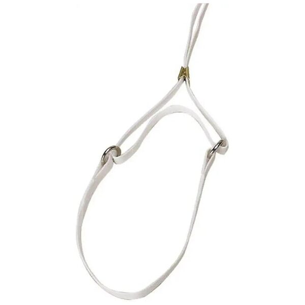 3/8 x 42-Inch Long Cordo-Hyde Martingale Lead with Comfortable White Cotton