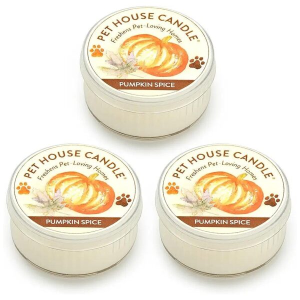 3-Pack Mini Candles in Pumpkin Spice for Small Pet Spaces