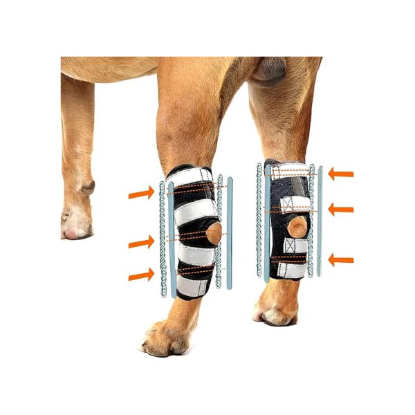 3in1 Dog Leg Hock Braces with Rigid Insert, Spring Insert, and Supportive Wrap