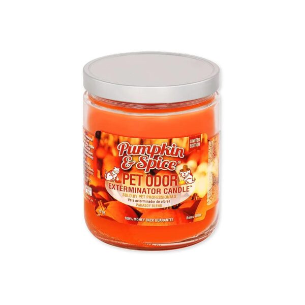 4 Pound Pumpkin Spice Scented Candle for Home Fragrance