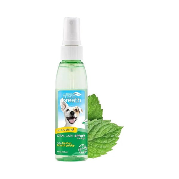 4 oz Fresh Breath Spray for Dogs and Cats - Made in the USA