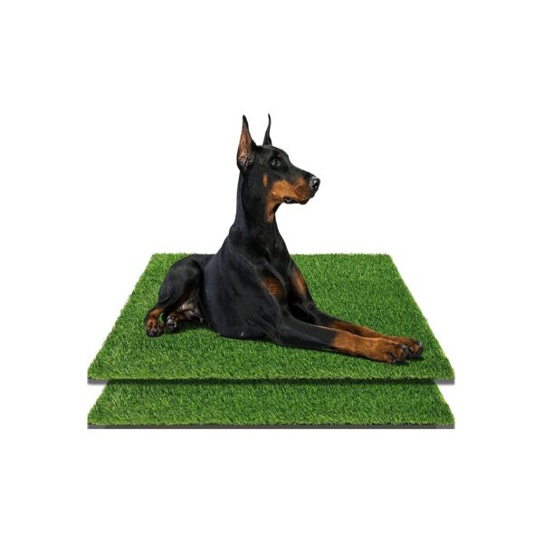 40x26In Artificial Grass Pad for Dogs with Durable and Soft Artificial Grass Material