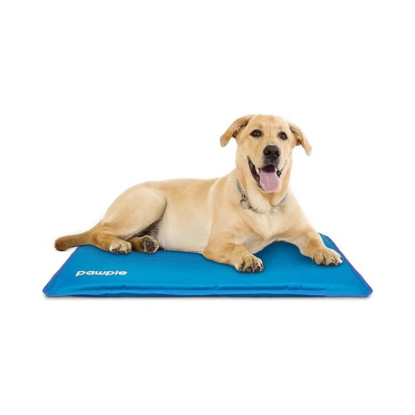 44 X 32 Thick Foam Base Pet Cooling Mat for Kennels Crates and Beds