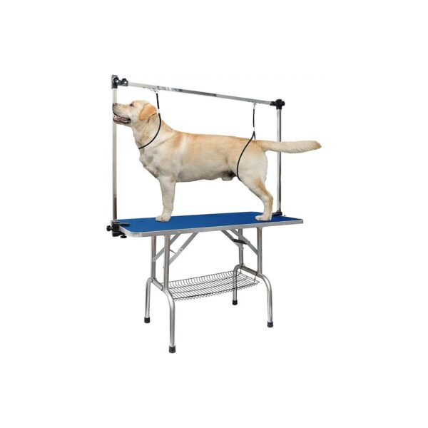 46 Inch Decorative Home Pet Table for Dog Grooming with Adjustable Arm and Storage