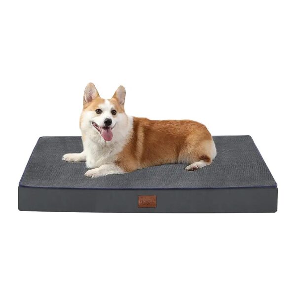 4-Inch Thick Memory Foam Dog Bed for Large and Extra Large Breed Dogs, Dark Grey