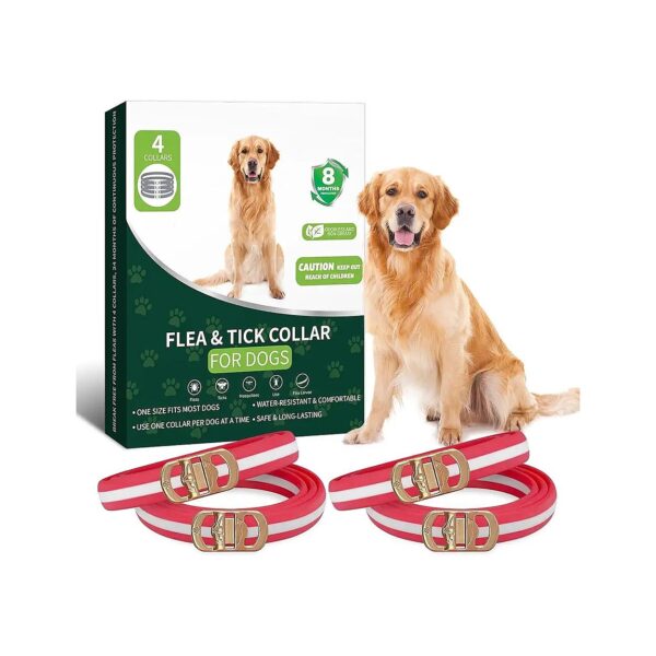 4-Pack of Adjustable Flea and Tick Collars for Dogs with Snug Fit Guarantee