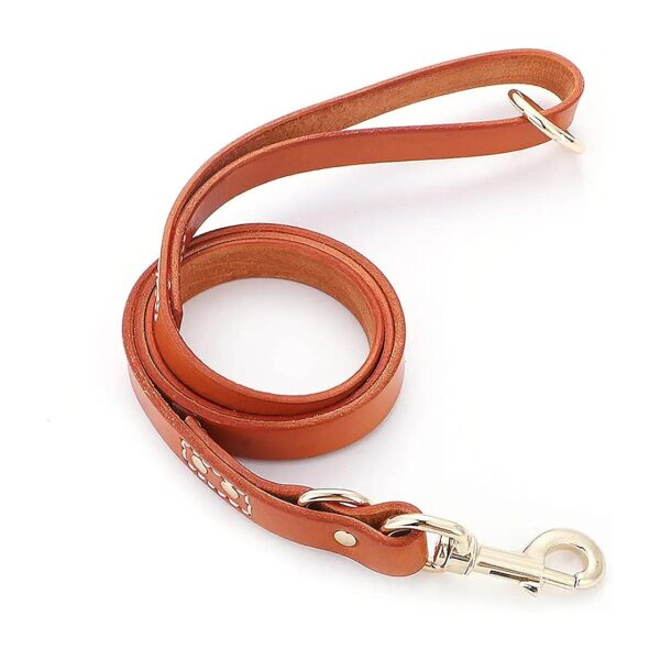 4ft/6ft Long Leather Dog Leash Braided Training Leash for Large Medium Small Breed Dogs