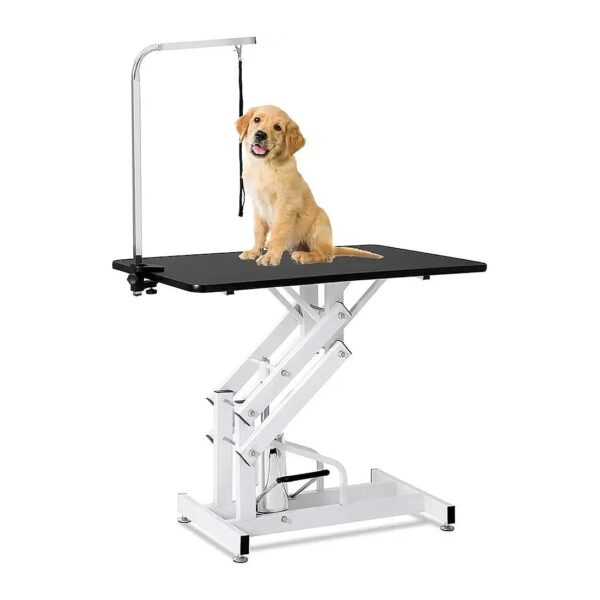 5 Inch Heavy Duty Stainless Steel Pet Grooming Table with Adjustable Arm and Noose