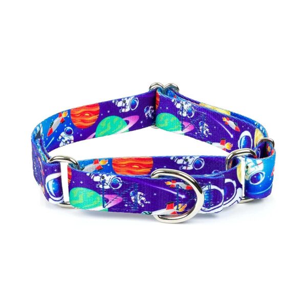 5/8 Inch Martingale Dog Collar in Cosmic Dreams Design for Small to Medium Breeds