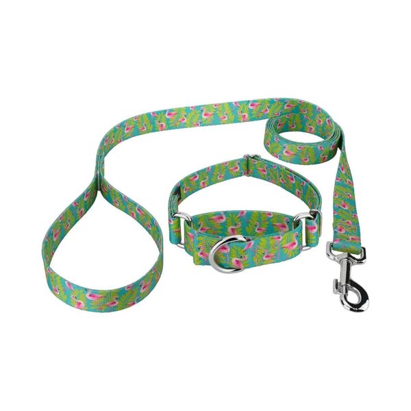 5/8 Inch Wide Martingale Dog Collar and Leash with Flamingos Creature Themed Design