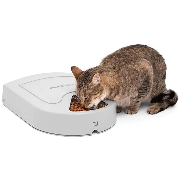 5-Meal Automatic Pet Feeder for Fast Eaters and Weight Management