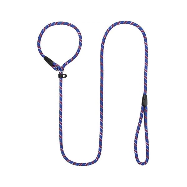 6 Foot Durable Nylon Slip Lead Dog Leash for Small Medium Dogs