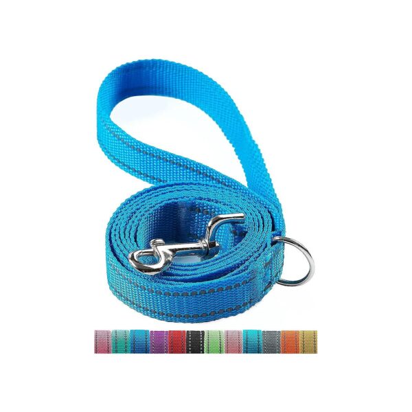 6 Foot Reflective and Strong Nylon Dog Leash for Large Medium and Small Breed Dogs