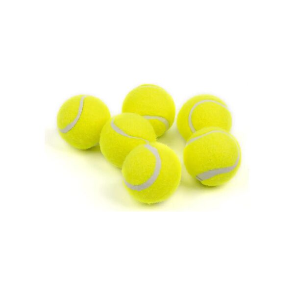 6 Pack 2 Inch Tennis Balls for Small to Medium Breed Dogs Training Play