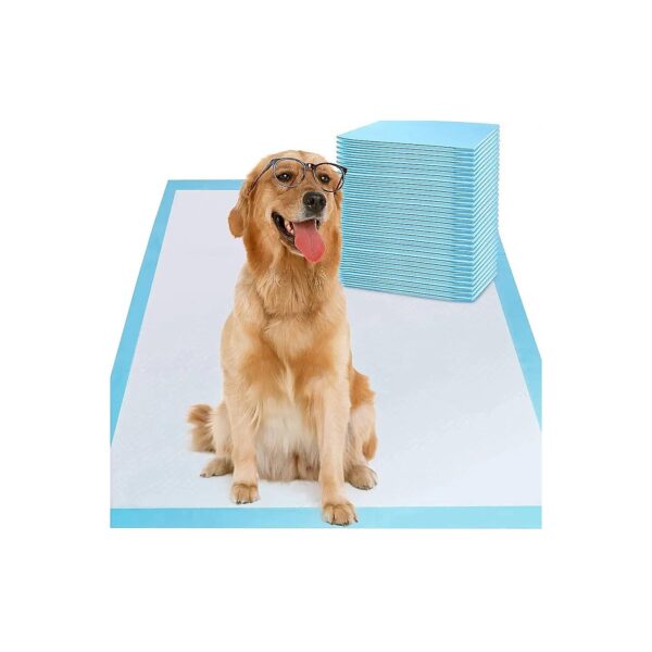 6-Layer Dog Pee Pads with Super Absorbent Tissue for Pet Potty Training