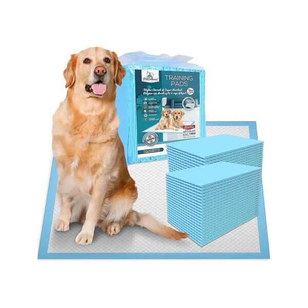 6-Layer Protection Dog Potty Training Pads