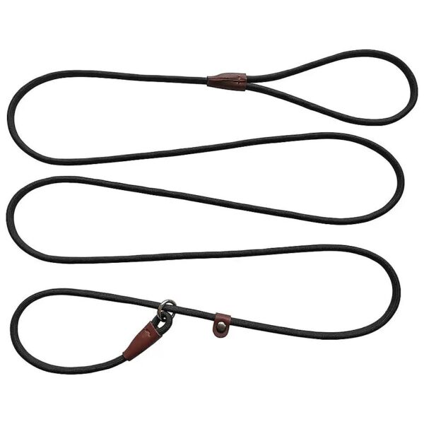 7 Foot Long Black Nylon Slip Lead Dog Leash for Small Medium Large Breeds