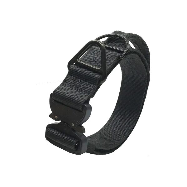 75" Cobra Buckle Tactical Dog Collar for X-Large Dogs with V-Ring and Smaller Tags Ring