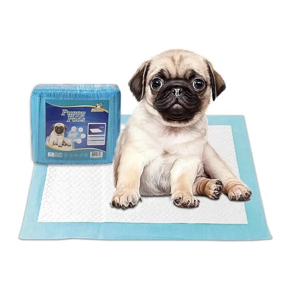 96-Pack Dog Training Pads with Quick-Dry Technology for Potty Training